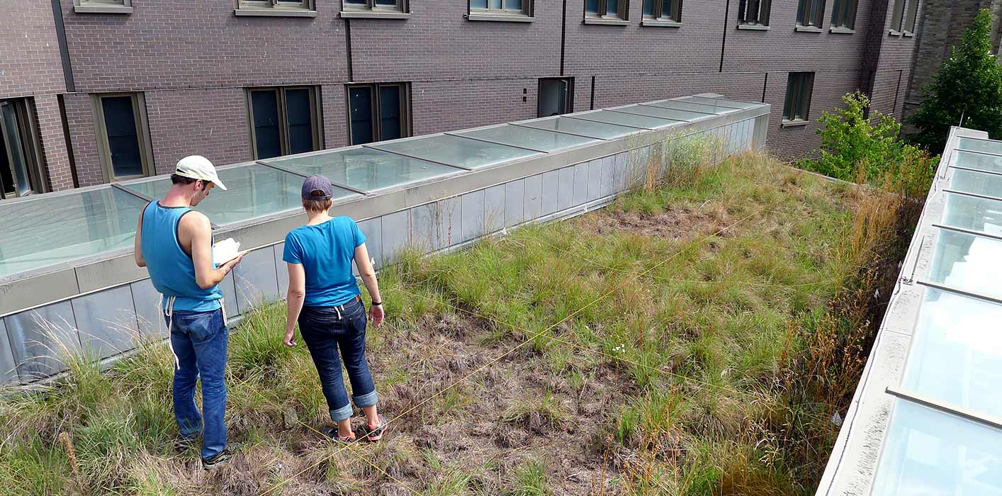 <p>We perform post-occupancy analysis long after our buildings are complete, as in this study about how green roofs function and change over time.</p>