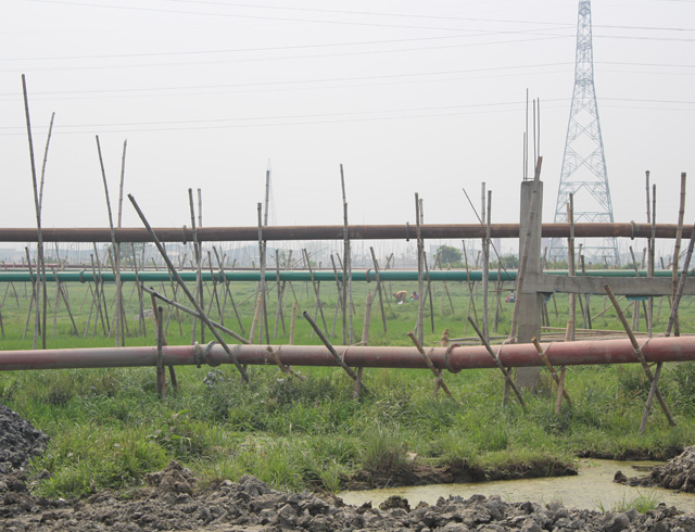 A view of the pipeline distribution system reveals the lush green of the natural environment before sandfilling.