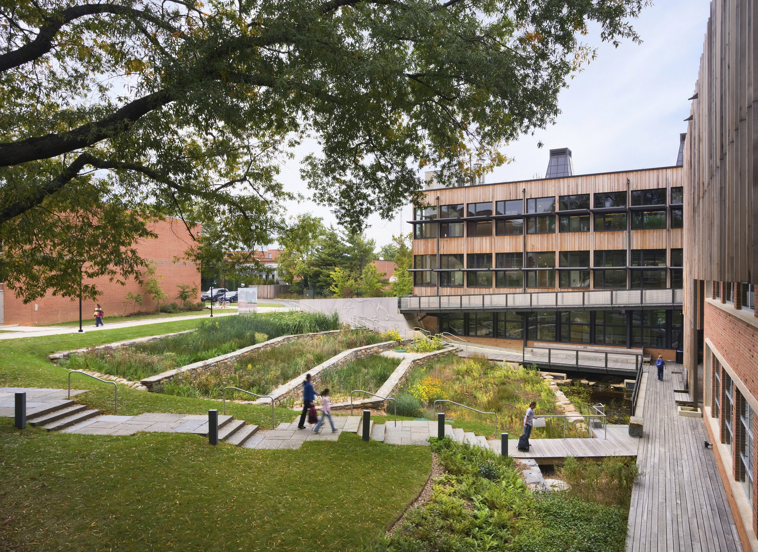 <p>The terraced constructed wetlands at Sidwell Friends Middle School are filled with native plantings. Students learn about the water cycle and natural processes which convert waste into habitat. | <small>&copy; Albert Vecerka/Esto</small></p>