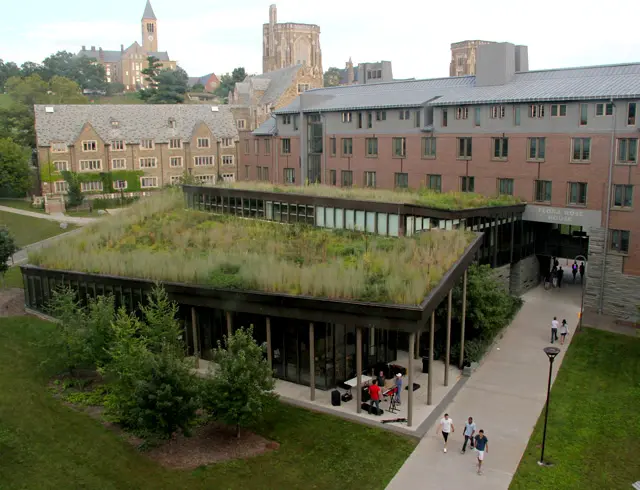 Green Roof Study Published in CATE