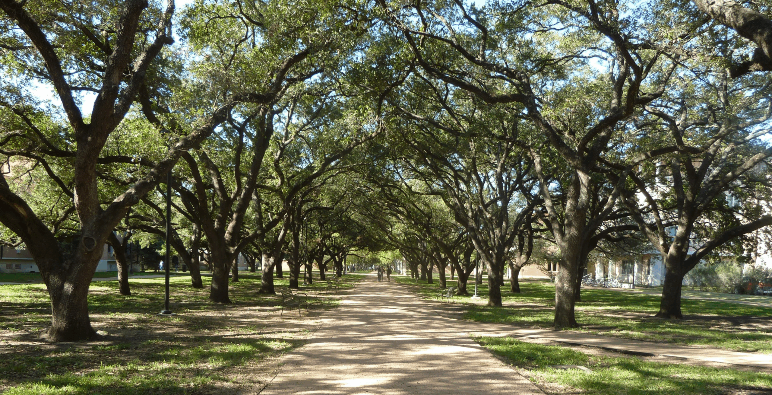 Campus Planning Query Tool