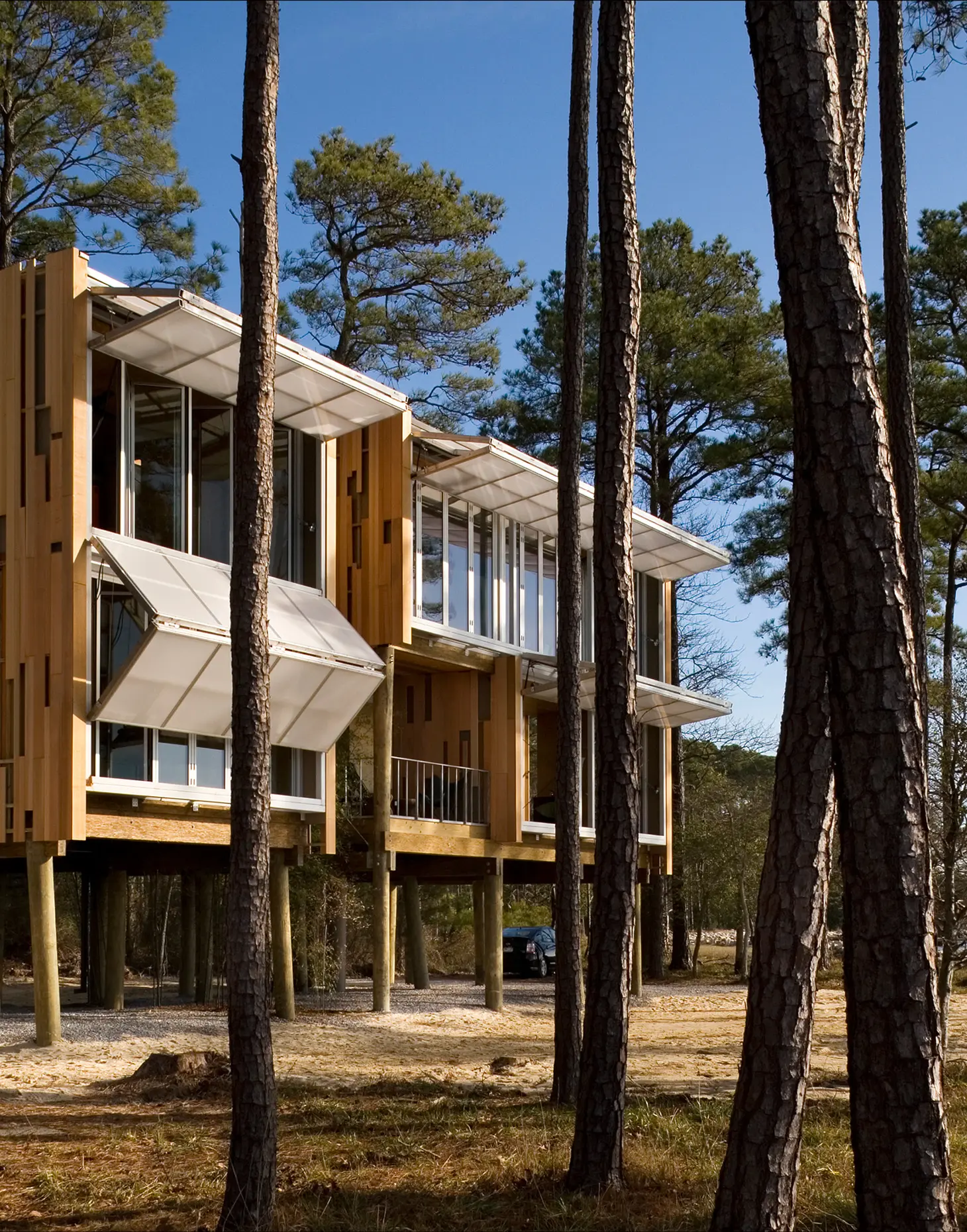 Loblolly House