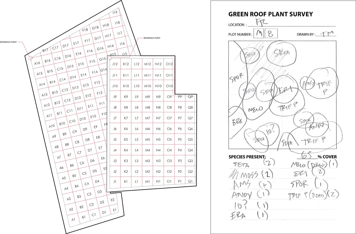 Green Roof Vegetation Study