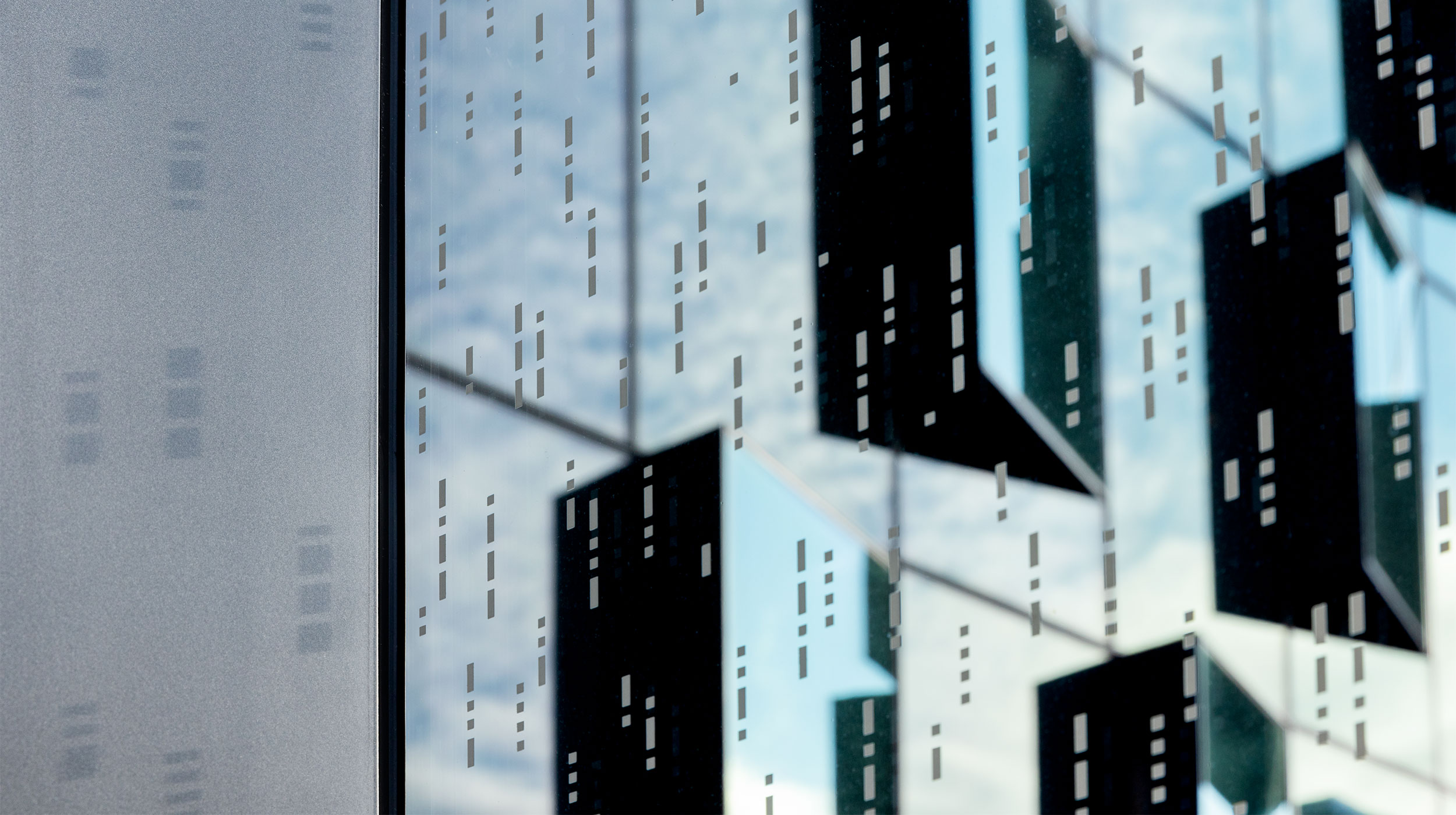 Minimizing Bird and Building Conflicts