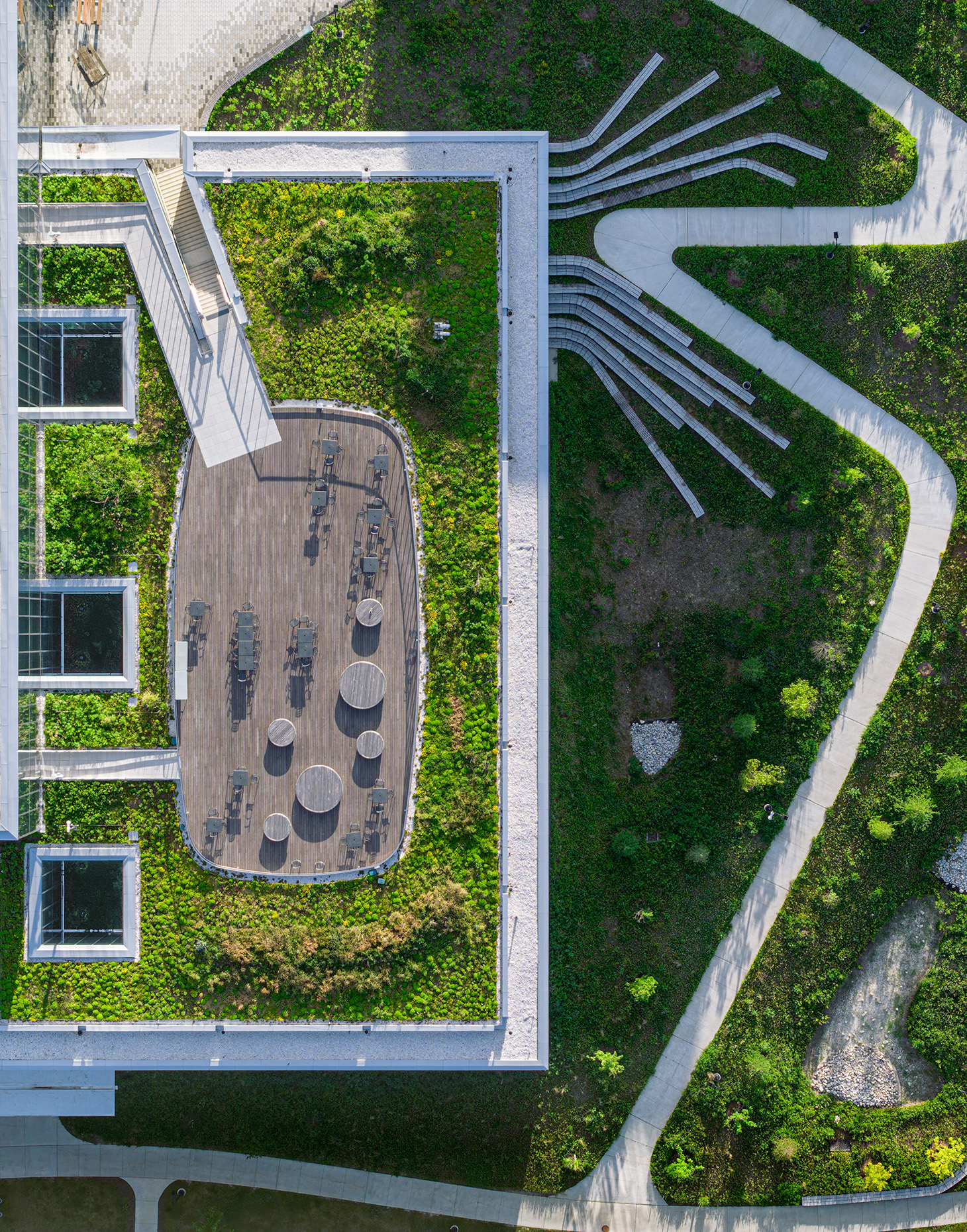 University of Toronto Mississauga, New Science Building