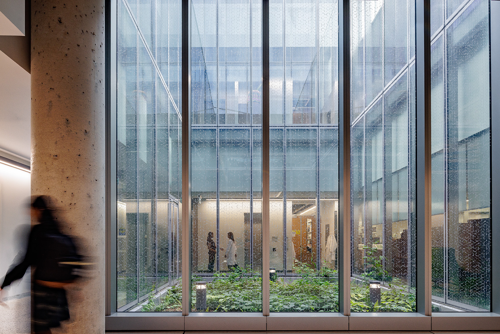 University of Toronto Mississauga, Science Building light well with view to lab